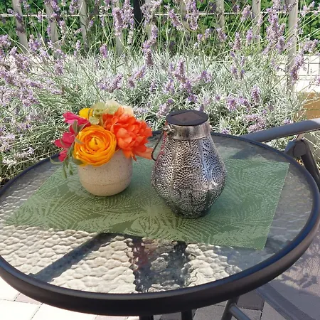 Διαμέρισμα Ruza Ζαντάρ