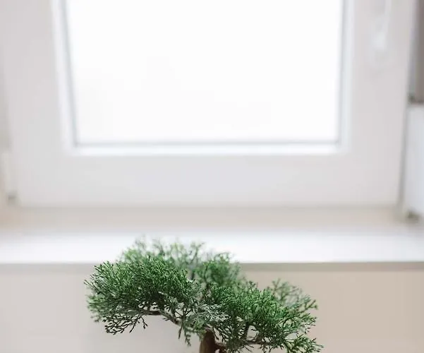 Апартаменти Ruza