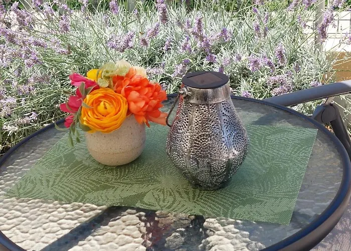 Апартаменти Ruza Задар