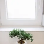 Apartmán Ruza