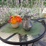Apartmán Ruza Zadar